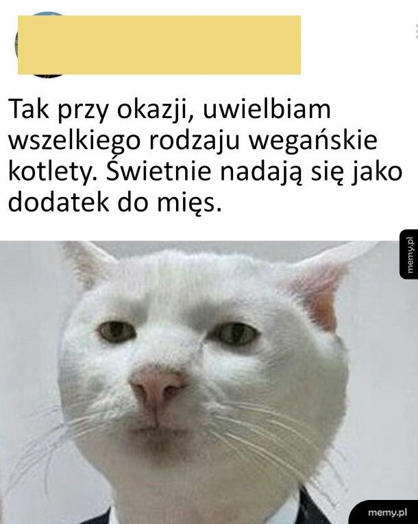 Jestem fanem wege kotletów