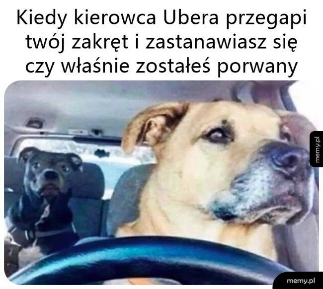 Chwila niepewności