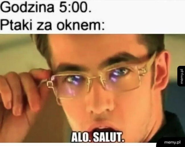 Ptaki za oknem