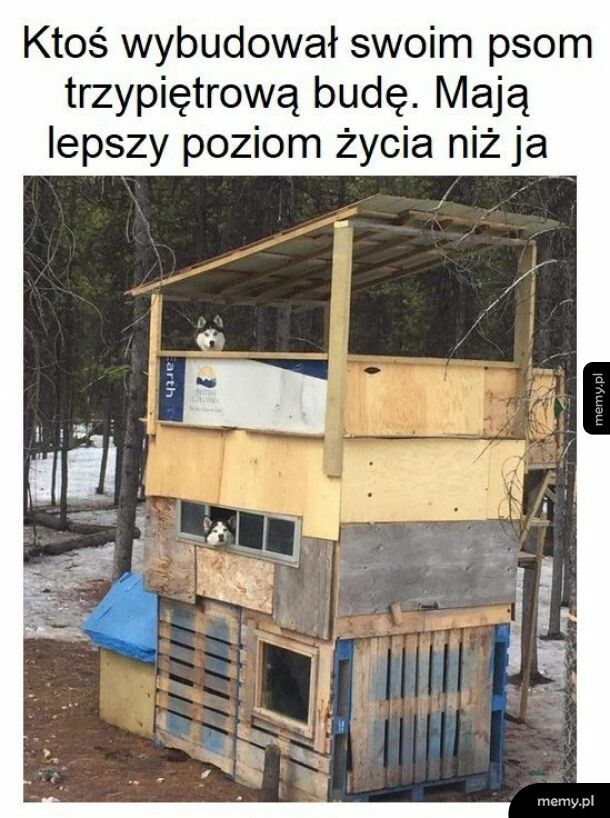 Super żyćko