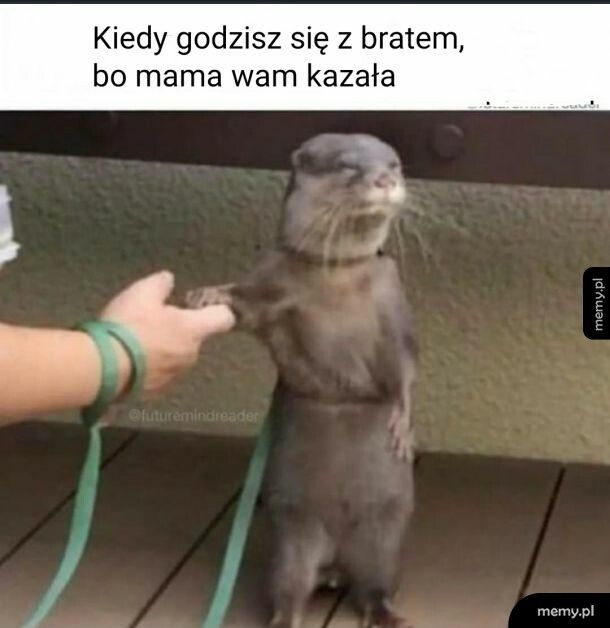 Z mamą się nie dyskutuje