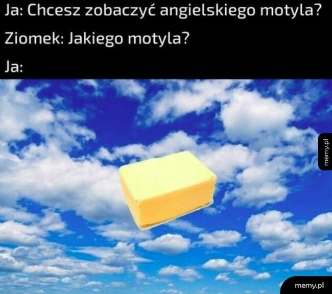 Angielski motyl