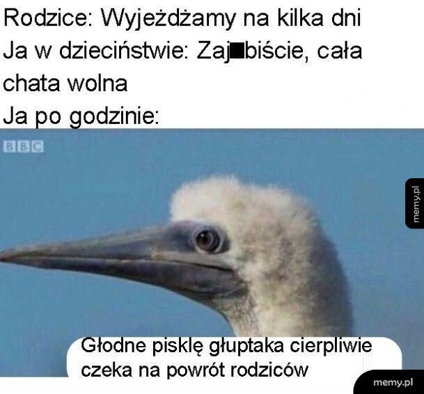 Już nie tak fajnie