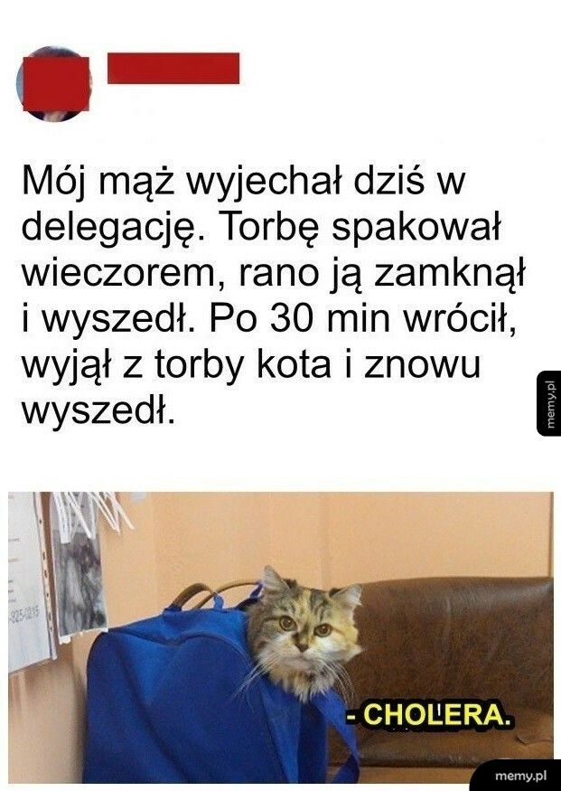 Wyjazd w delegację