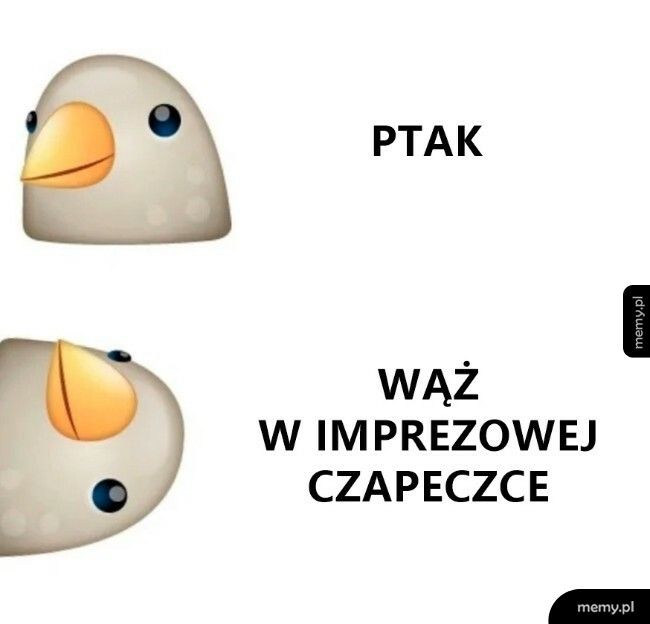 Podwójne oblicze