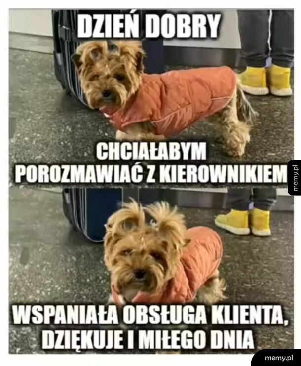 Dzień dobry