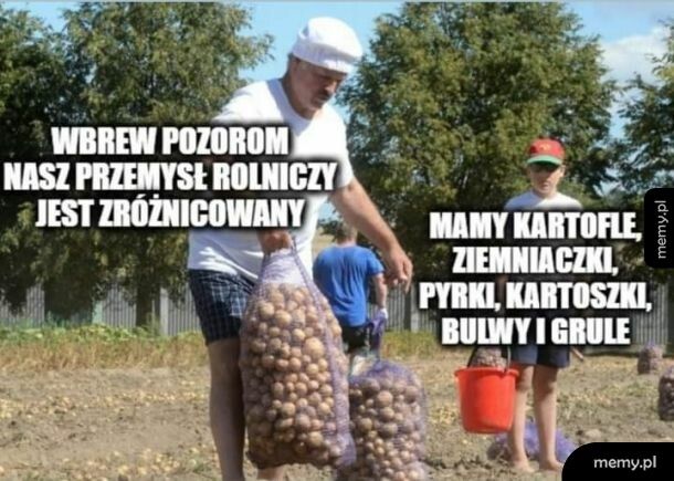 Różnorodność