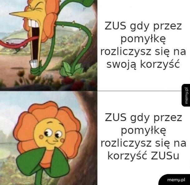 ZUS