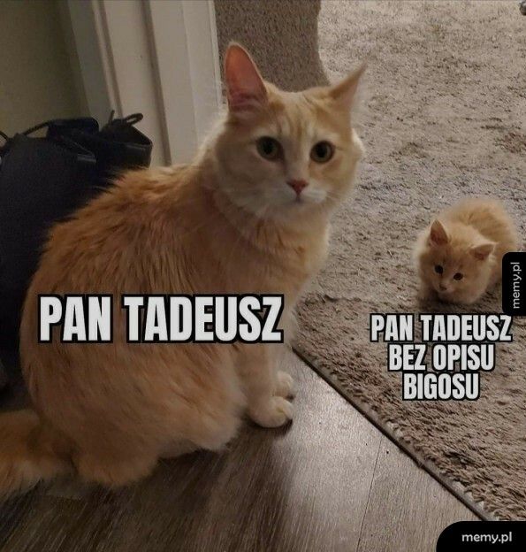 Pan Tadeusz