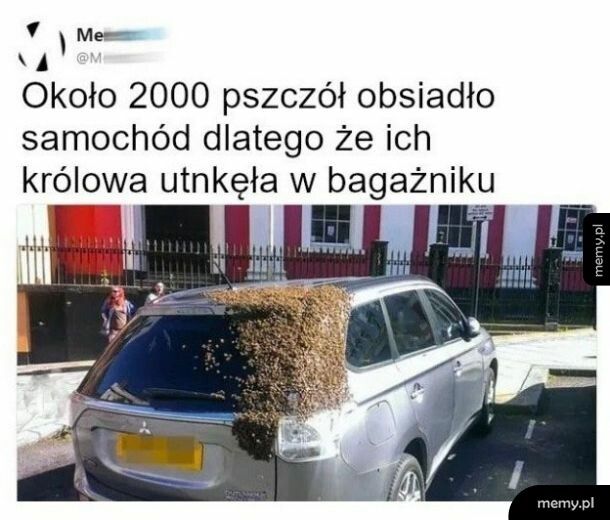 Zemsta na samochodzie