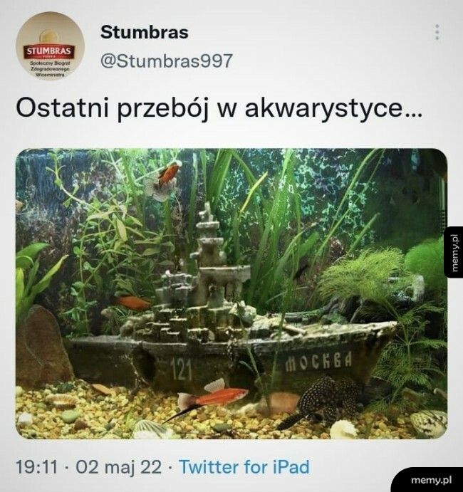 Przebój w akwarystyce