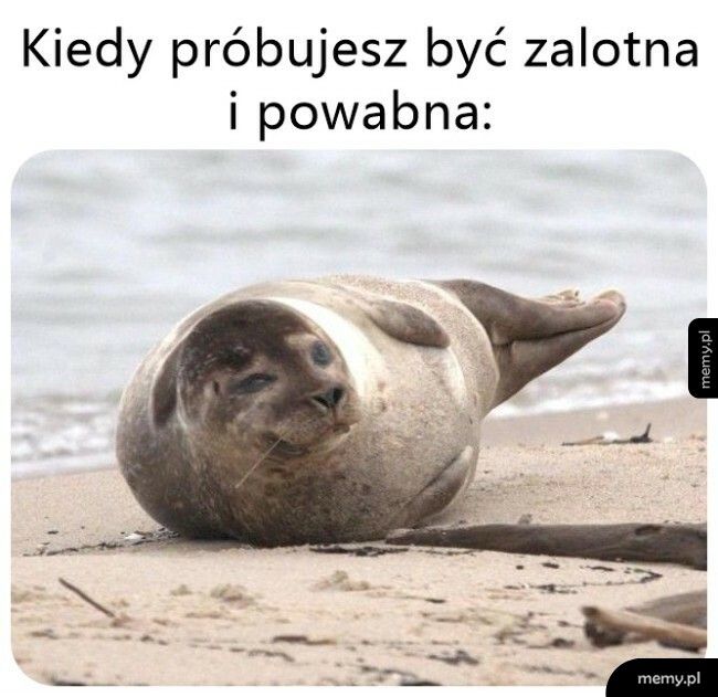 Prawie wyszło