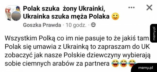 Szukanie męża