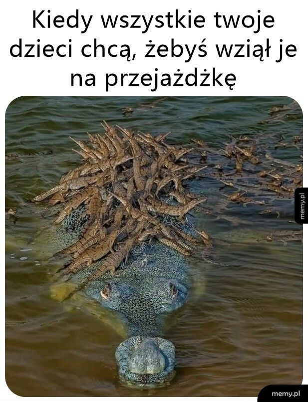 Przejażdżka