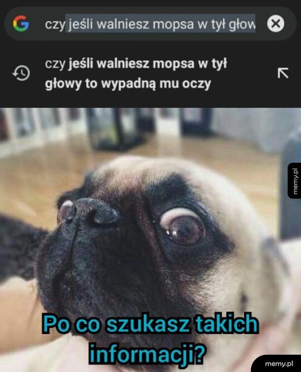 Nie bój się piesku