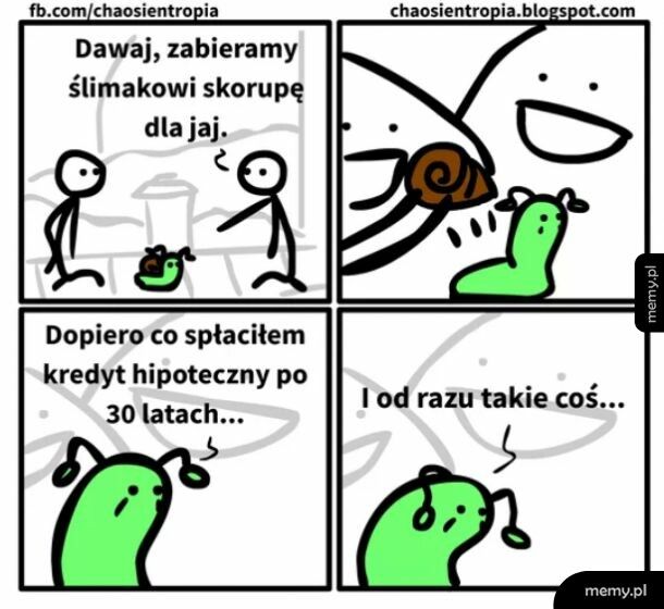 Biedny ślimak