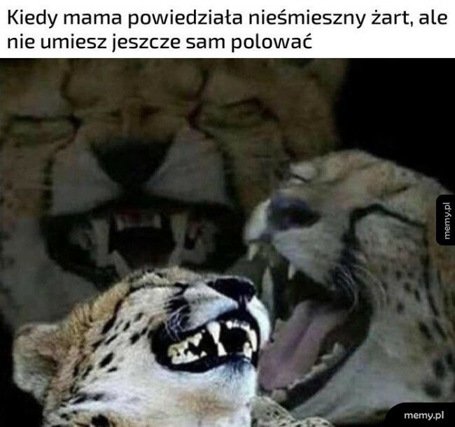 Nieśmieszny żart