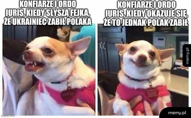 Uga buga Wolność