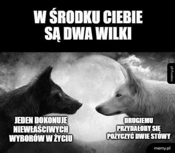 Dwa wilki