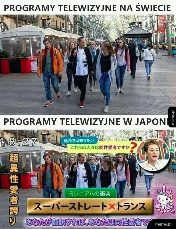 Programy telewizyjne