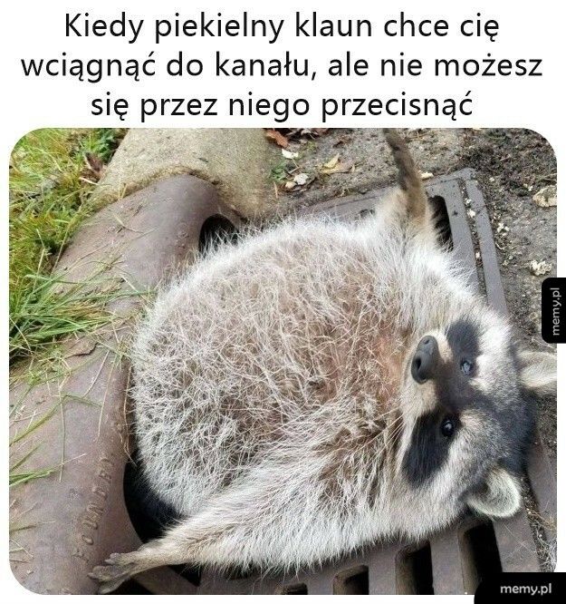 Uratowany przez tłuszczyk