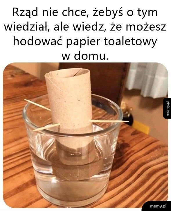 Zaraz wypuści pierwsze pędy