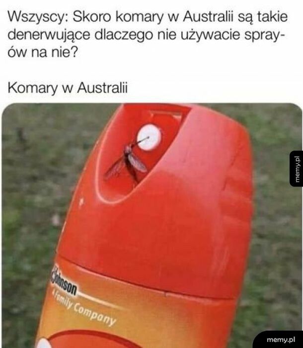 komary w Australii