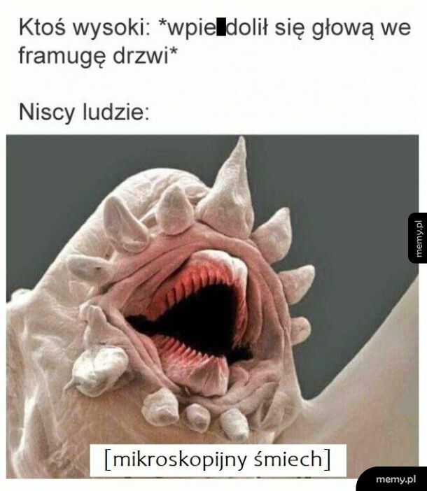 Niscy ludzie