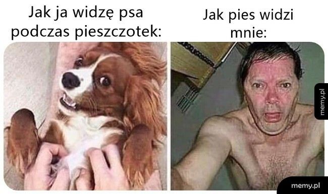 Punkty widzenia