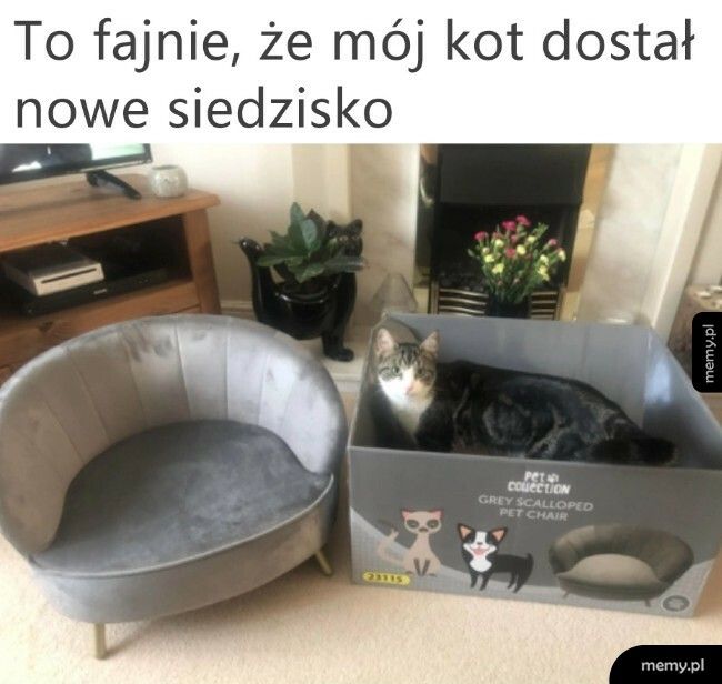 Widać, że jest wdzięczny