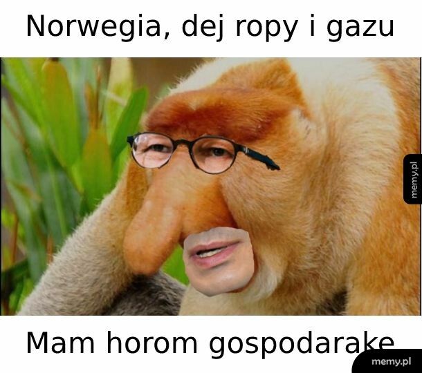 Norwegia