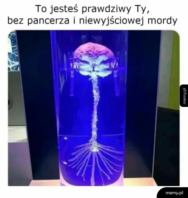 W środku każdy z nas jest taki sam