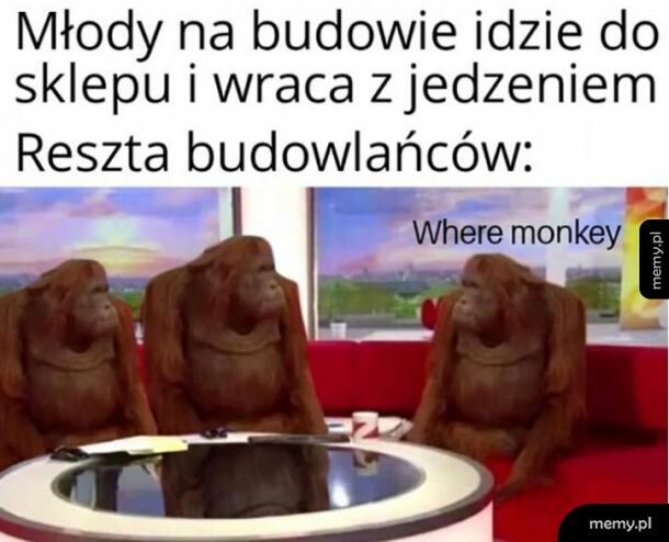 Gdzie małpka? Na trzeźwo się nie da