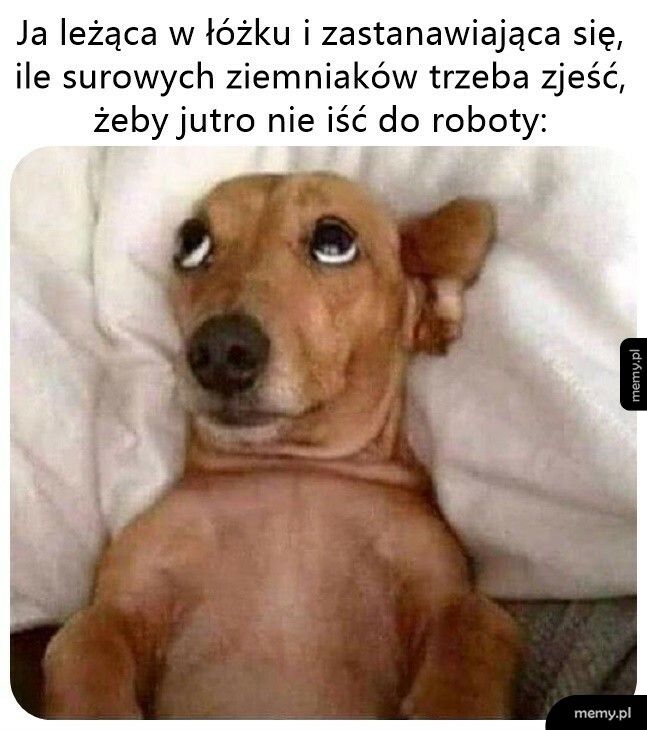 Nie jest dobrze