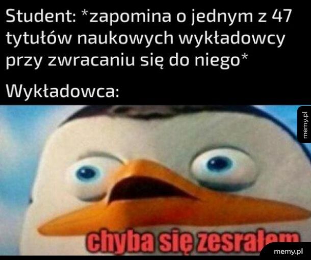 Typowy wykładowca