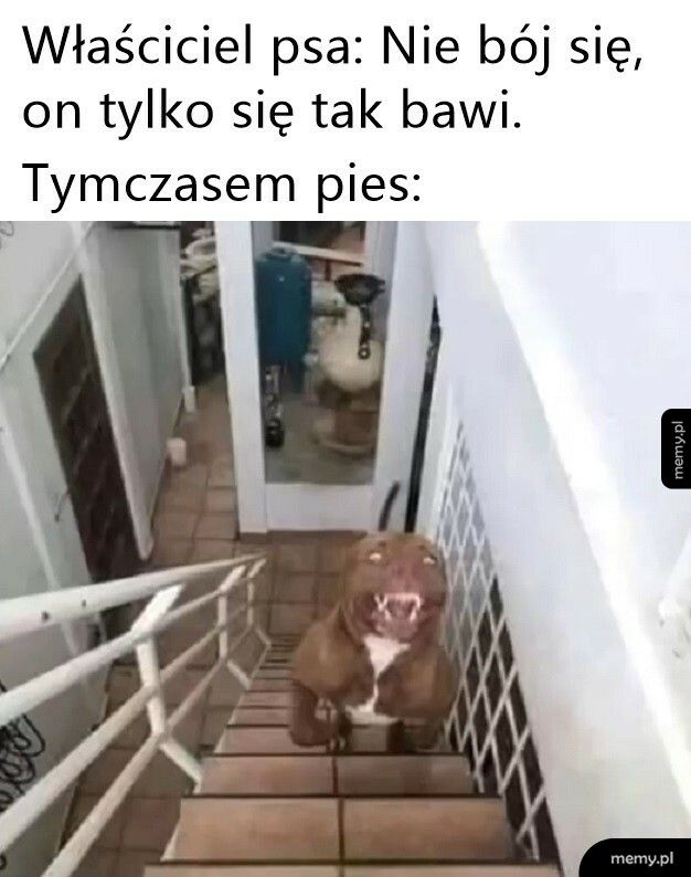 On tylko się bawi