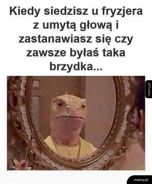 Dlatego nie chodzę do fryzjera