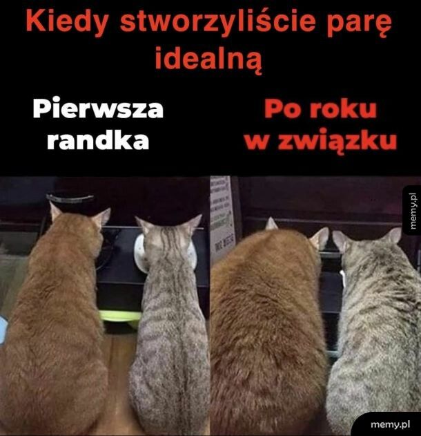 Związek idealny nie istn...