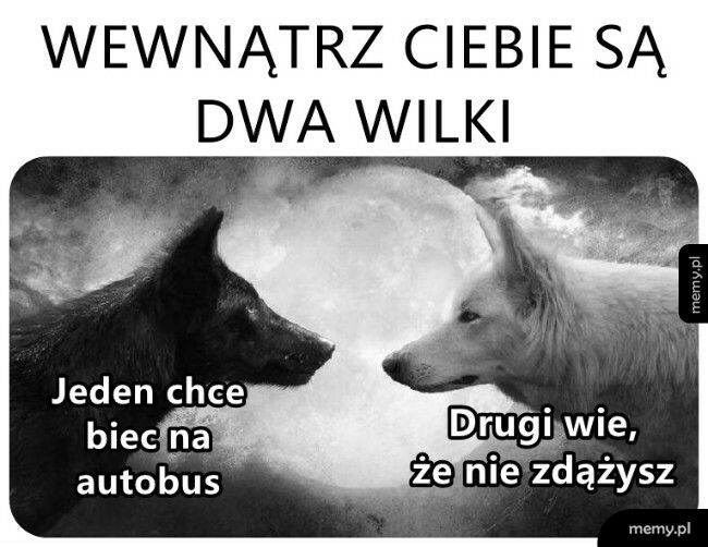 Dwa wilki