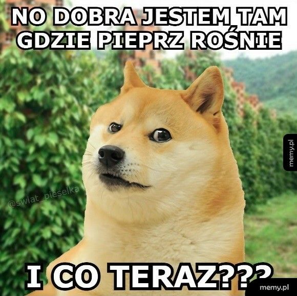 Tam, gdzie pieprz rośnie