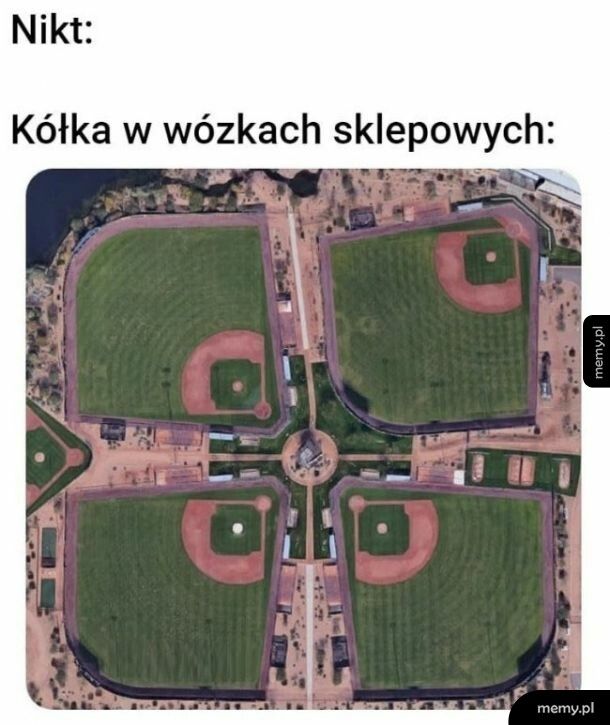 Wózki takie są