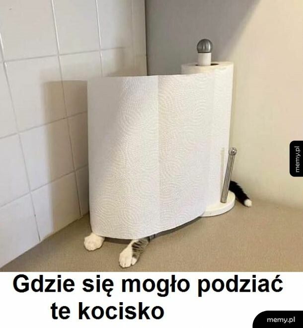 Mistrz kamuflażu