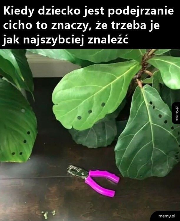 Podejrzana cisza