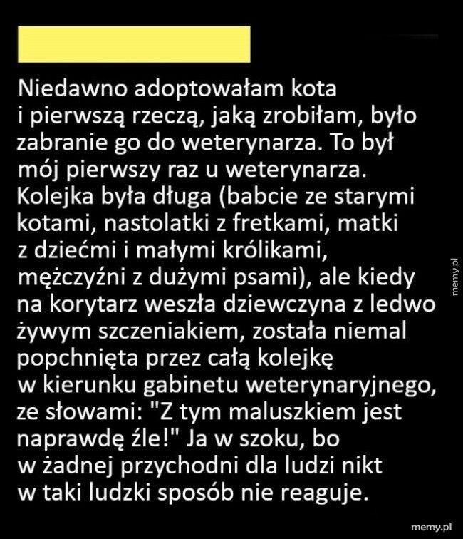 Ludzie w przychodni weterynaryjnej