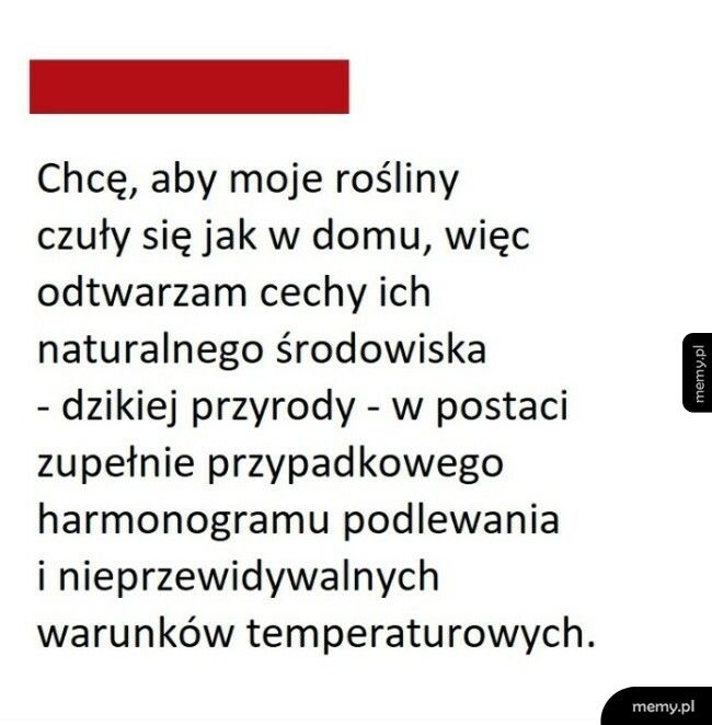 Uprawa roślin domowych