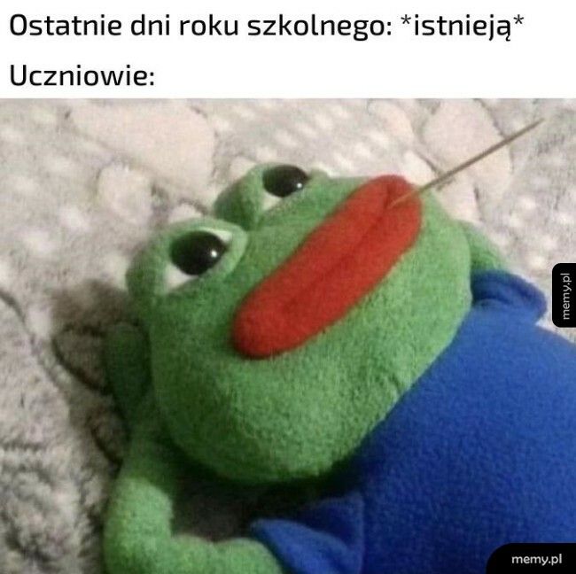 Kiedy oceny są wystawione