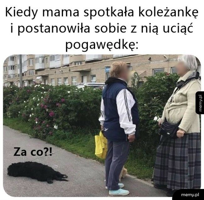 A teraz czekaj