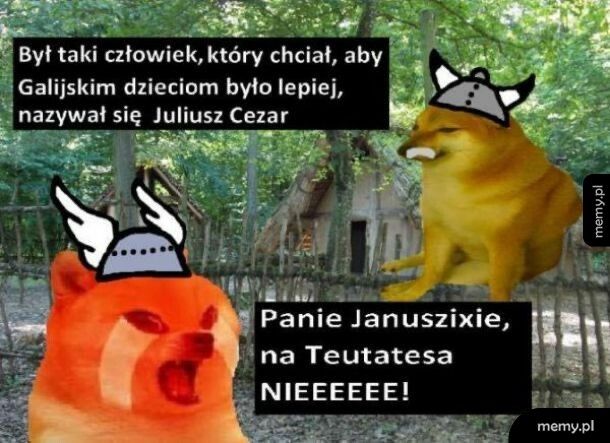 Januszixie czemu?