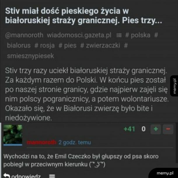 Pies z cieczko > emil czeczko