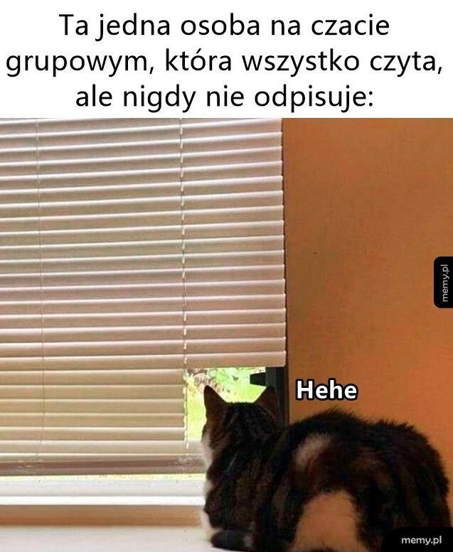 Czat grupowy